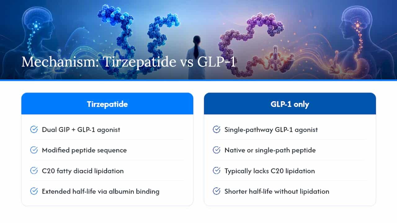 Diagram of tirzepatide dual receptor mechanism and structural features