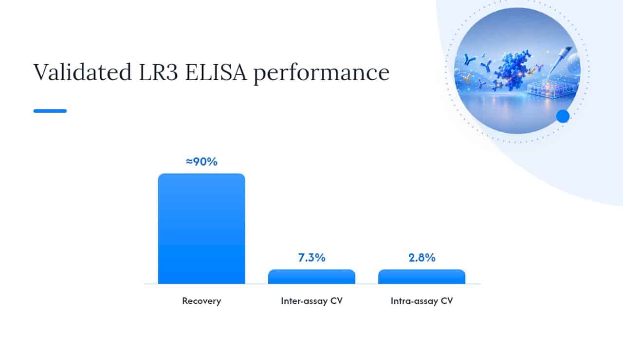 How Should Researchers Measure LR3 Accurately? — overview diagram