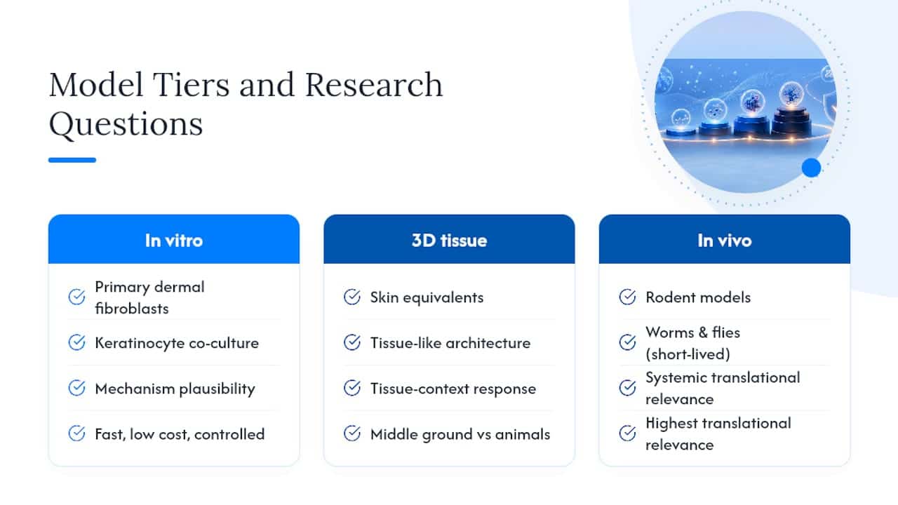 Research model tiers and questions