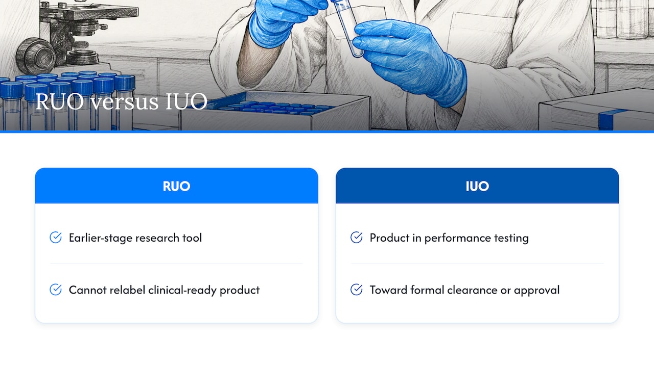 RUO and IUO stages and expectations compared