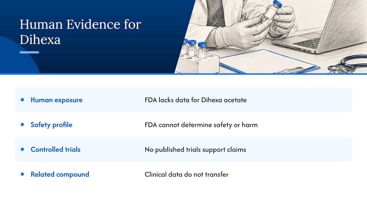 Has Dihexa been tested on humans? — overview diagram